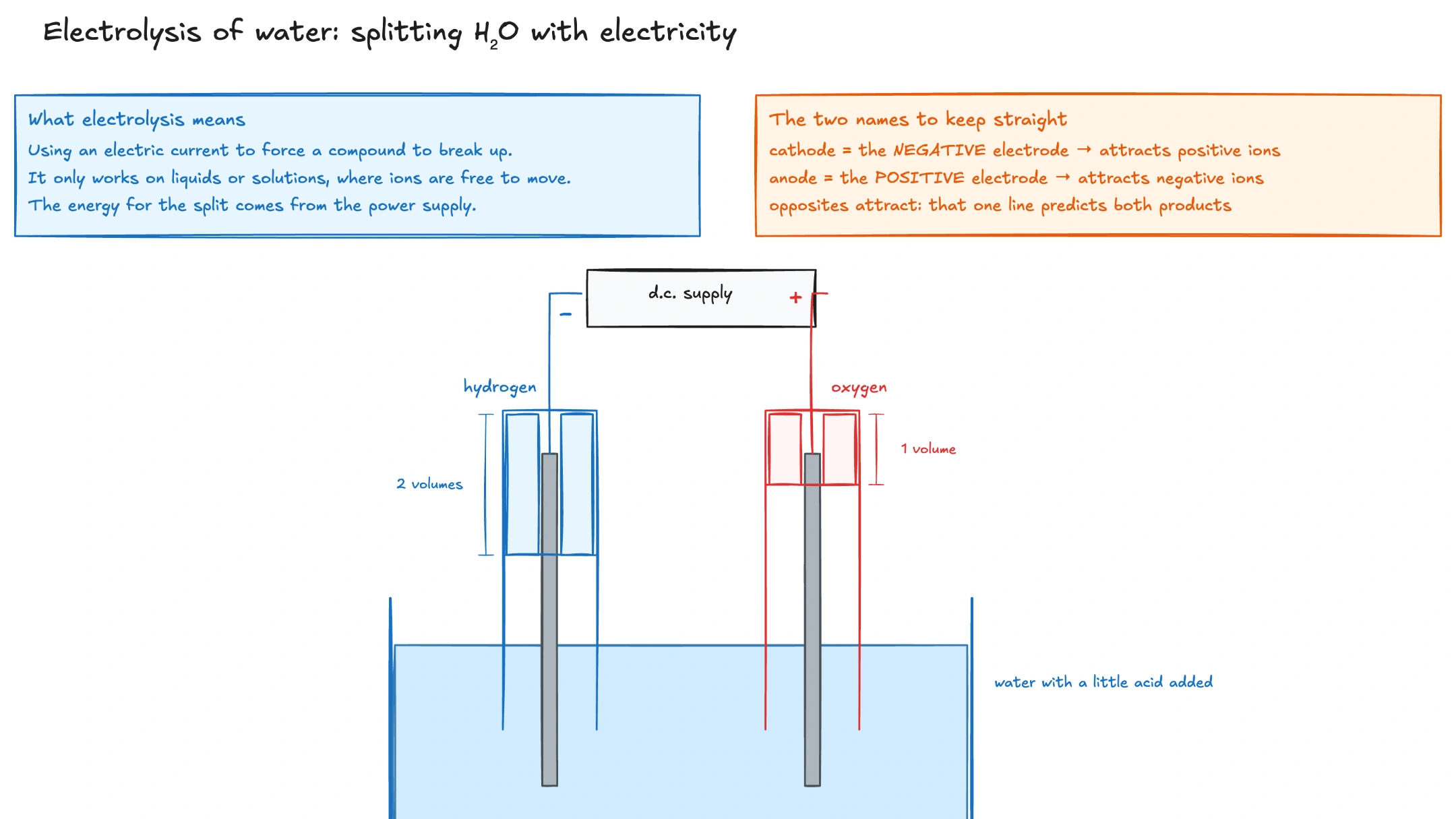 Electrolysis of water apparatus with labeled electrodes and collected gases