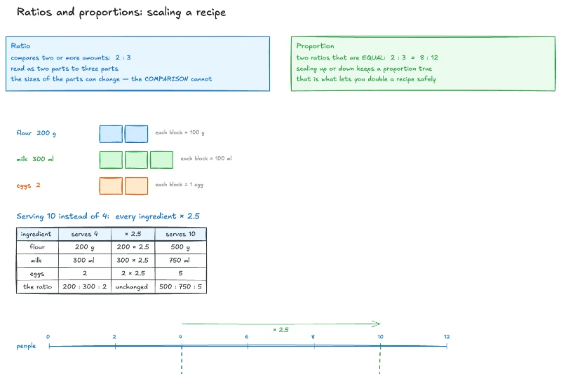 Ratios and proportions, made visual — lesson preview